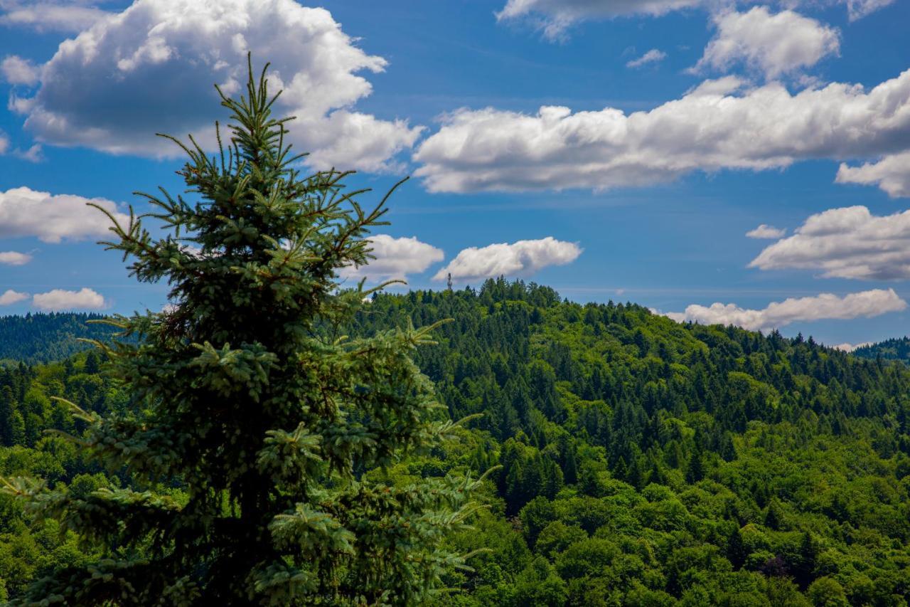 Sun & Sport Apartamenty Krynica-Zdroj Ngoại thất bức ảnh